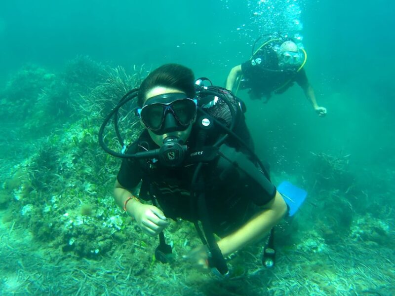 Scuba Diving Experience for Beginners - Instructor Qualifications