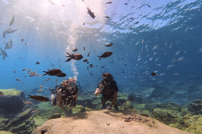 Scuba Diving Experience + Free Video - Video Turnaround and Quality
