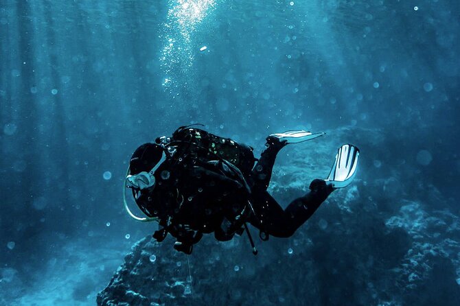 Scuba Diving Experience in Alanya With Lunch and 2 Dives - About Your Stay