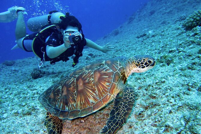 Scuba Diving Experience in Alanya With Lunch and 2 Dives - Traveler Reviews and Concerns