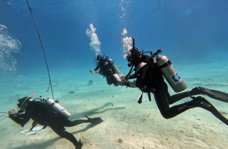Scuba Diving Experience in Porto Cesareo - Experience Details