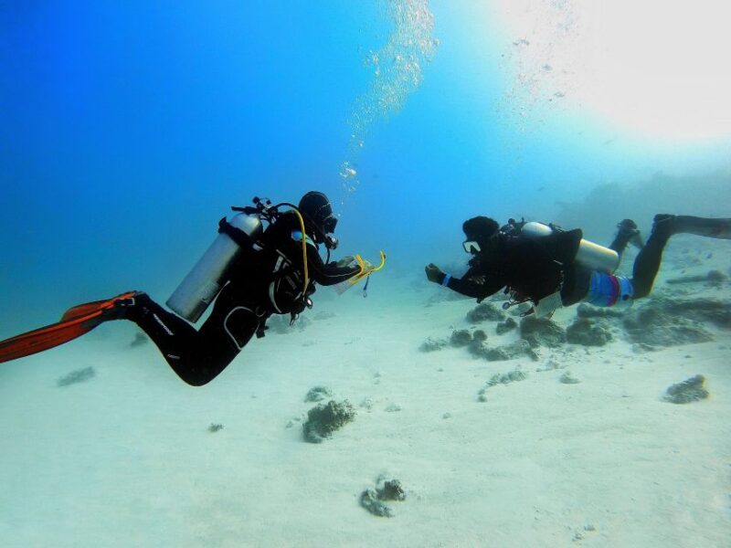 Scuba Diving Experience in Porto Cesareo - Diving Experience