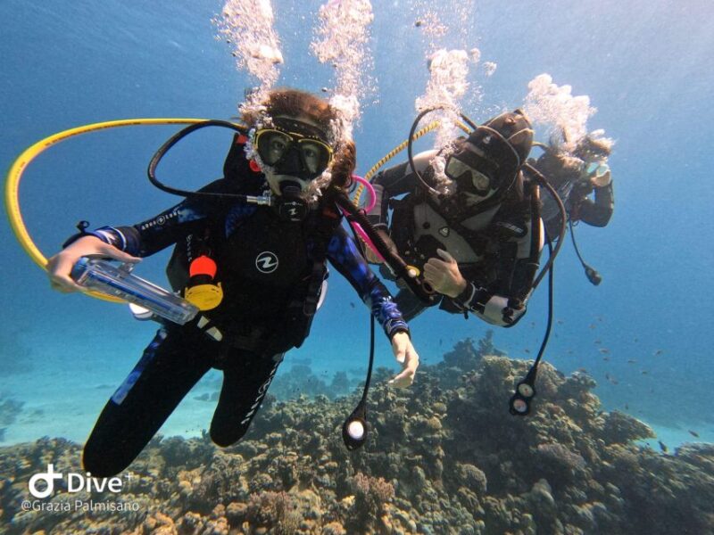 Scuba Diving Experience in Porto Cesareo - Frequently Asked Questions
