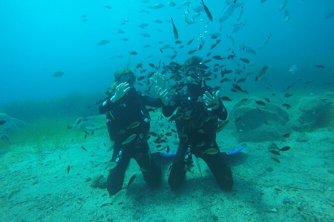 Scuba Diving Experience in Santorini - Meeting Point and End Point
