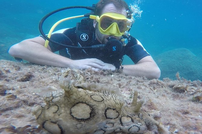 Scuba Diving Experience in Taormina - Booking and Cancellation Policy