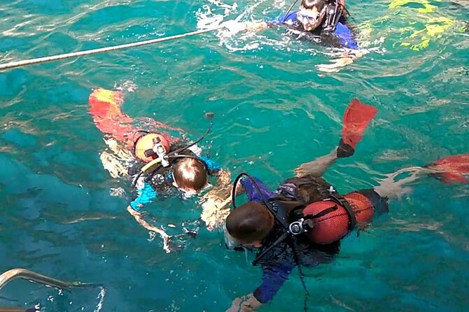 Scuba Diving Experience Tour From Side - Inclusions and Exclusions