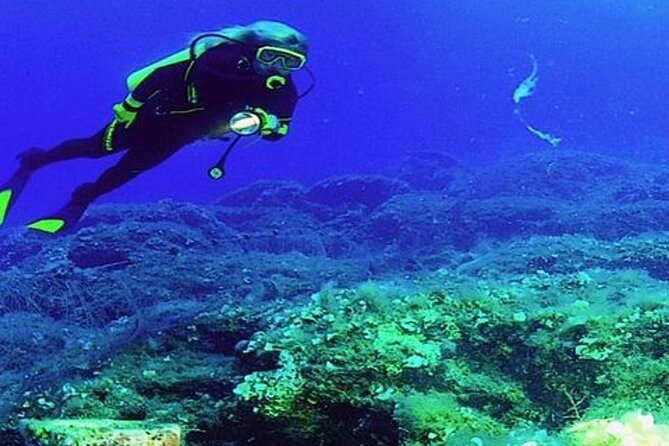Scuba Diving Experience Tour From Side - Participant Reviews