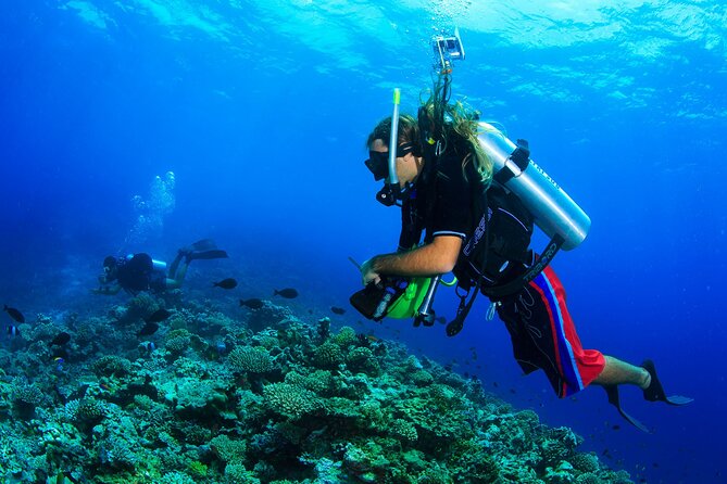 Scuba Diving Experience Tour From Side - Exploring the Diving Sites