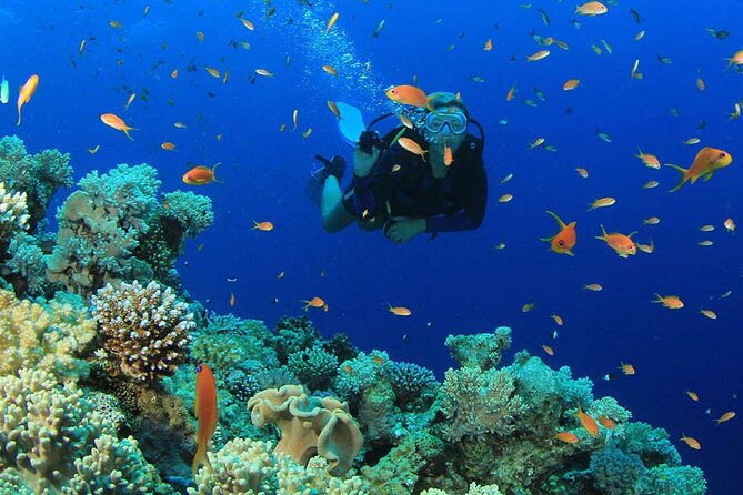 Scuba Diving Experience Tour From Side - Recap