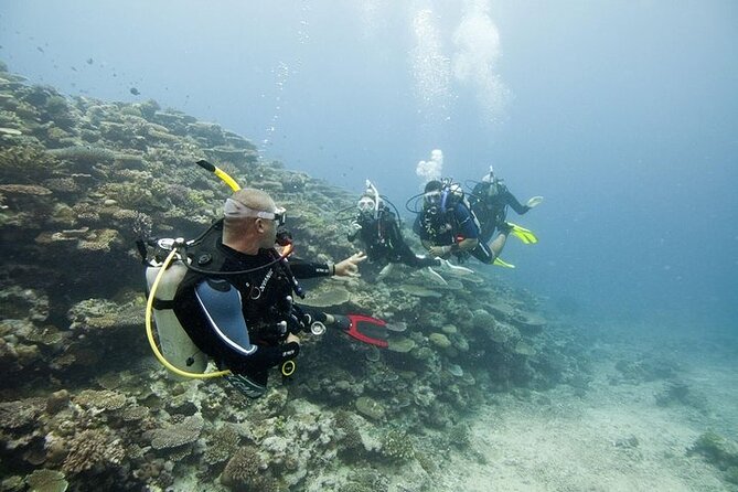 Scuba Diving For Beginners - Reviews and Feedback