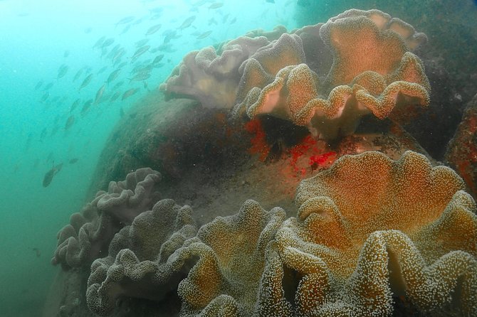 Scuba Diving For Beginners - Health and Safety Considerations
