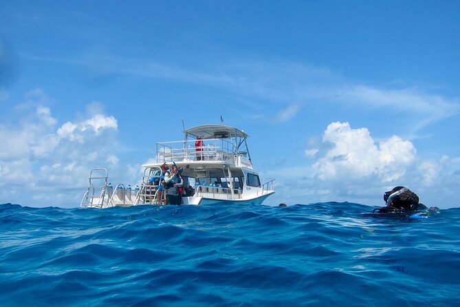 Scuba Diving for Beginners - Recap