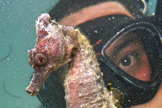 Scuba Diving for Beginners at San Juan - Facilities and Amenities