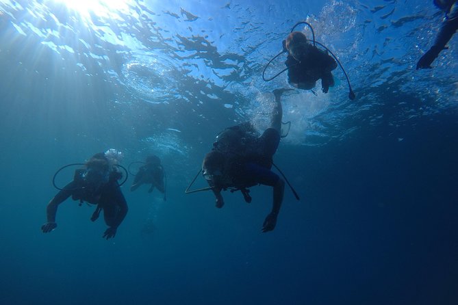 Scuba Diving For Beginners - Getting Equipped