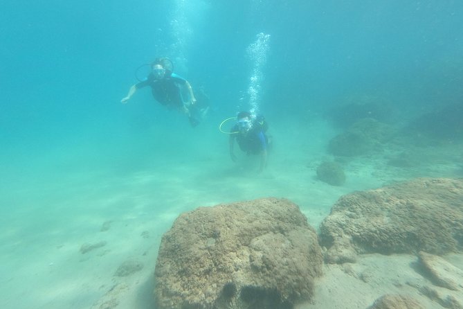 Scuba Diving For Beginners - Underwater Photography Tips
