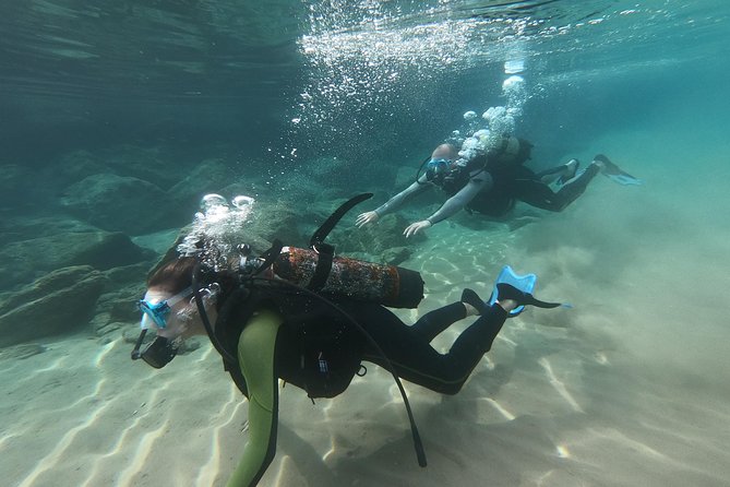 Scuba Diving For Beginners - Marine Life Observation