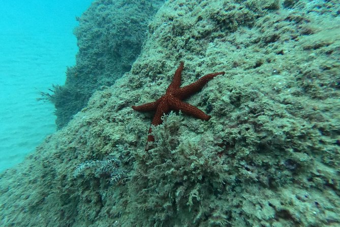 Scuba Diving For Beginners - Safety Considerations