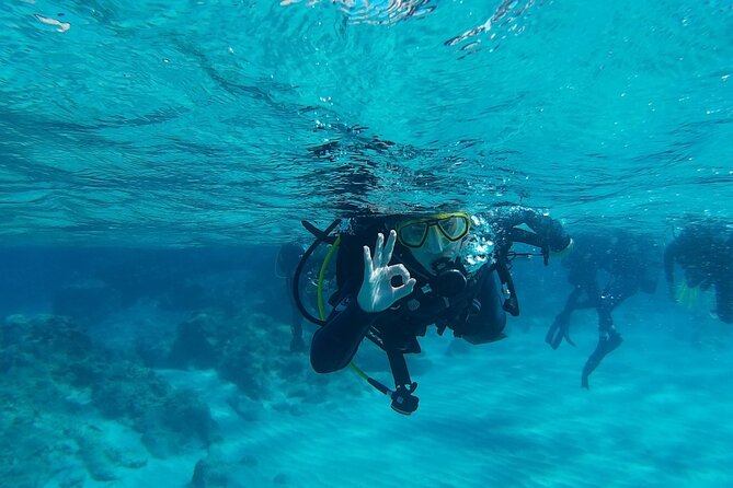 Scuba Diving for Beginners in Chania - Included in the Package