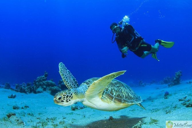 Scuba Diving for Beginners With Lunch in Fethiye - Dive Depths and Duration