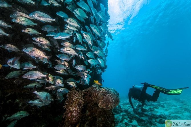 Scuba Diving for Beginners With Lunch in Fethiye - Required Fitness Level