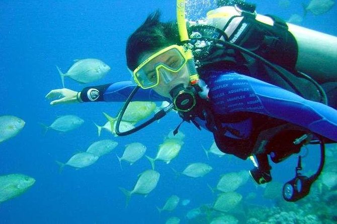 Scuba Diving for Beginners With Lunch in Fethiye - Customer Feedback Highlights