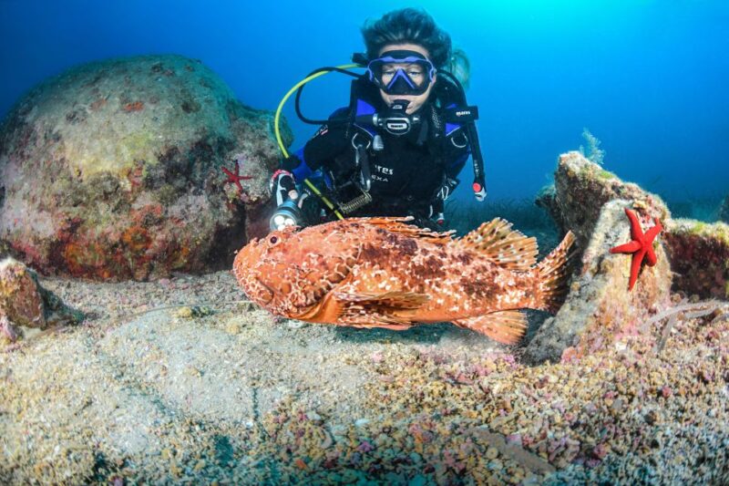 Scuba Diving for Certified Divers - Good To Know