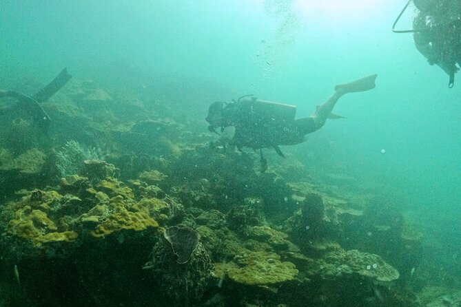 Scuba Diving for Certified Divers in Phu Quoc Island - Pickup and Transportation