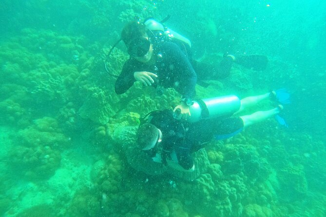 Scuba Diving for Certified Divers in Phu Quoc Island - Positive Guest Reviews