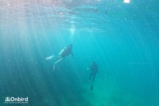 Scuba Diving for Certified Divers in Phu Quoc Island - Dive Site Exploration