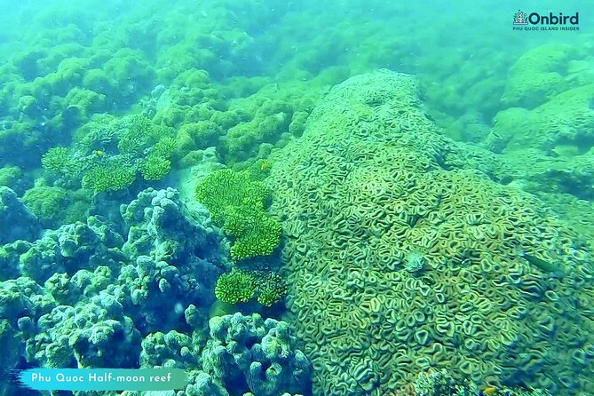 Scuba Diving for Certified Divers in Phu Quoc Island - Pricing and Cancellation Policy