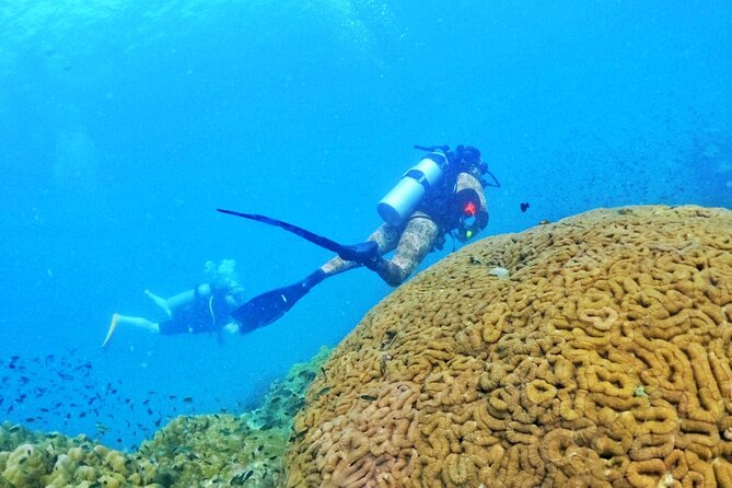 Scuba Diving for Certified Divers in Phu Quoc Island - Suitability and Physical Fitness