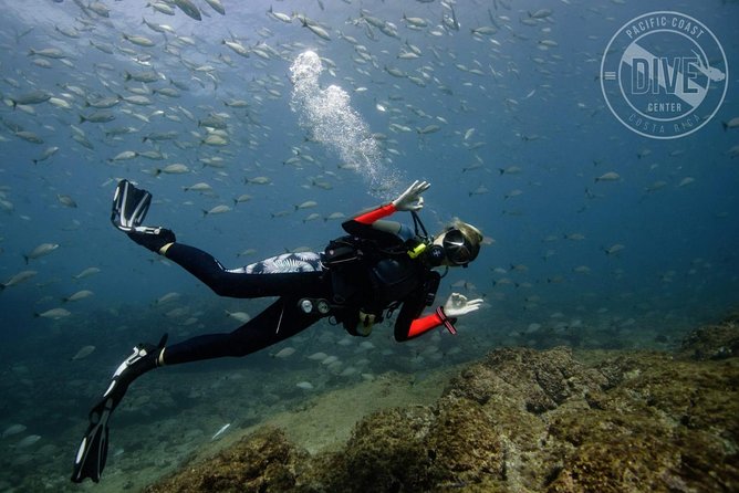 Scuba Diving for Non-Certified Divers at Catalina Islands & North Island - CR - Flexible Cancellation Policy