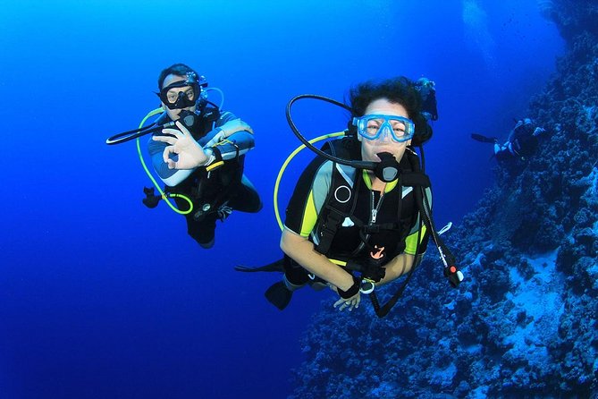 Scuba Diving From Bodrum - Experience Overview