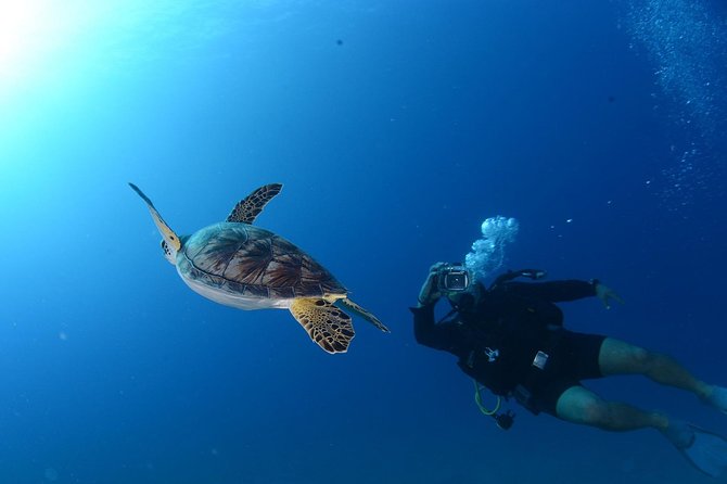Scuba Diving From Bodrum - Review Highlights