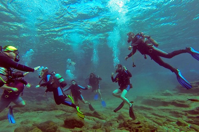 Scuba Diving From Bodrum - Tour Duration