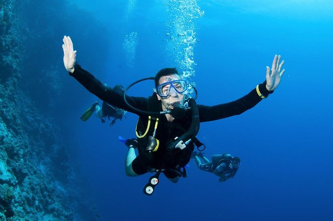 Scuba Diving From Dalyan - Suitable for All Skill Levels