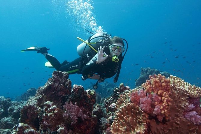 Scuba Diving From Fethiye - Booking and Cancellation Policies