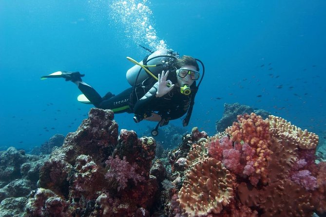 Scuba Diving From Marmaris Area - Key Points