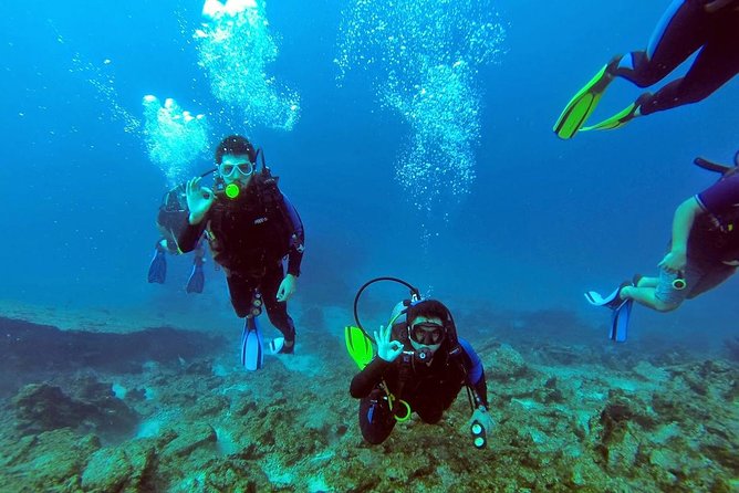 Scuba Diving From Marmaris Area - Booking and Cancellation Policies