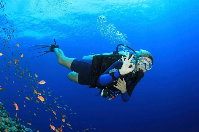 Scuba Diving From Marmaris Area - Customer Reviews and Feedback