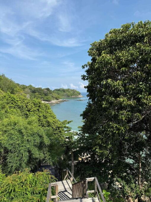 Scuba Diving From Stunning Coral Reef in the Heart of Phuket - What to Expect on Your Scuba Diving Trip