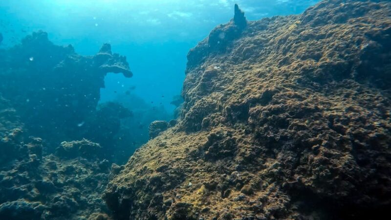 Scuba Diving From Stunning Coral Reef in the Heart of Phuket - Key Points
