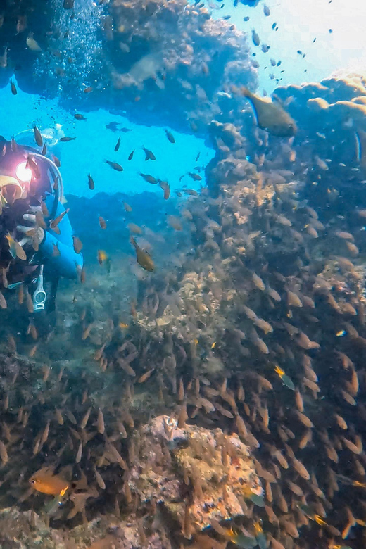Scuba Diving From Stunning Coral Reef in the Heart of Phuket - Night Dives for Adventurous Explorers