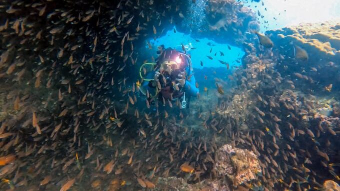 Scuba Diving From Stunning Coral Reef in the Heart of Phuket - Easy Booking and Flexible Cancellation