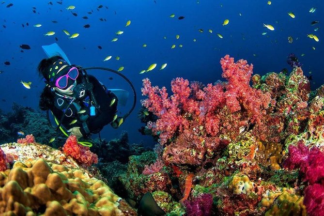 Scuba Diving Grand Island, Parasailling, Jet- Ski +3 Water Sports - Additional Information