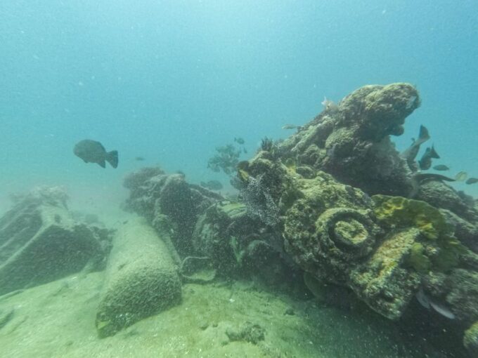 Scuba Diving in a National Marine Park of Cabo Pulmo - Booking and Availability