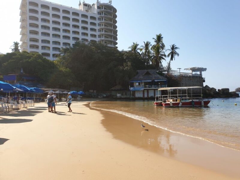 .Scuba Diving in Acapulco for Begginers - Pricing and Booking