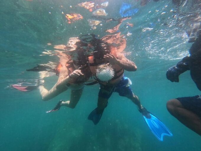 .Scuba Diving in Acapulco for Begginers - Frequently Asked Questions