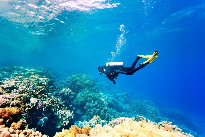 Scuba Diving in Alanya - Included in the Package
