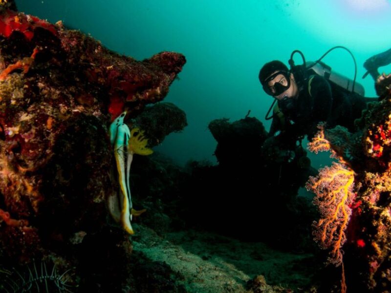Scuba Diving in Boracay: SSI Advanced OW Certification - Key Points